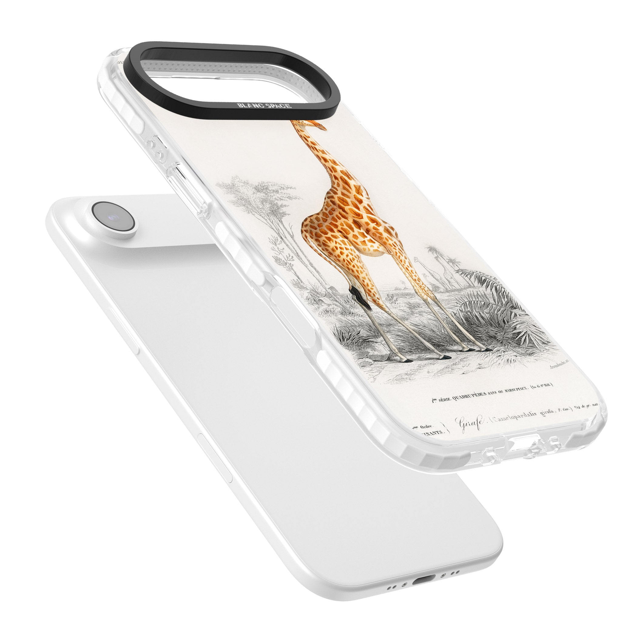 Vintage Giraffe Art iPhone 17 Air Impact Pro Clear Phone Case Colours