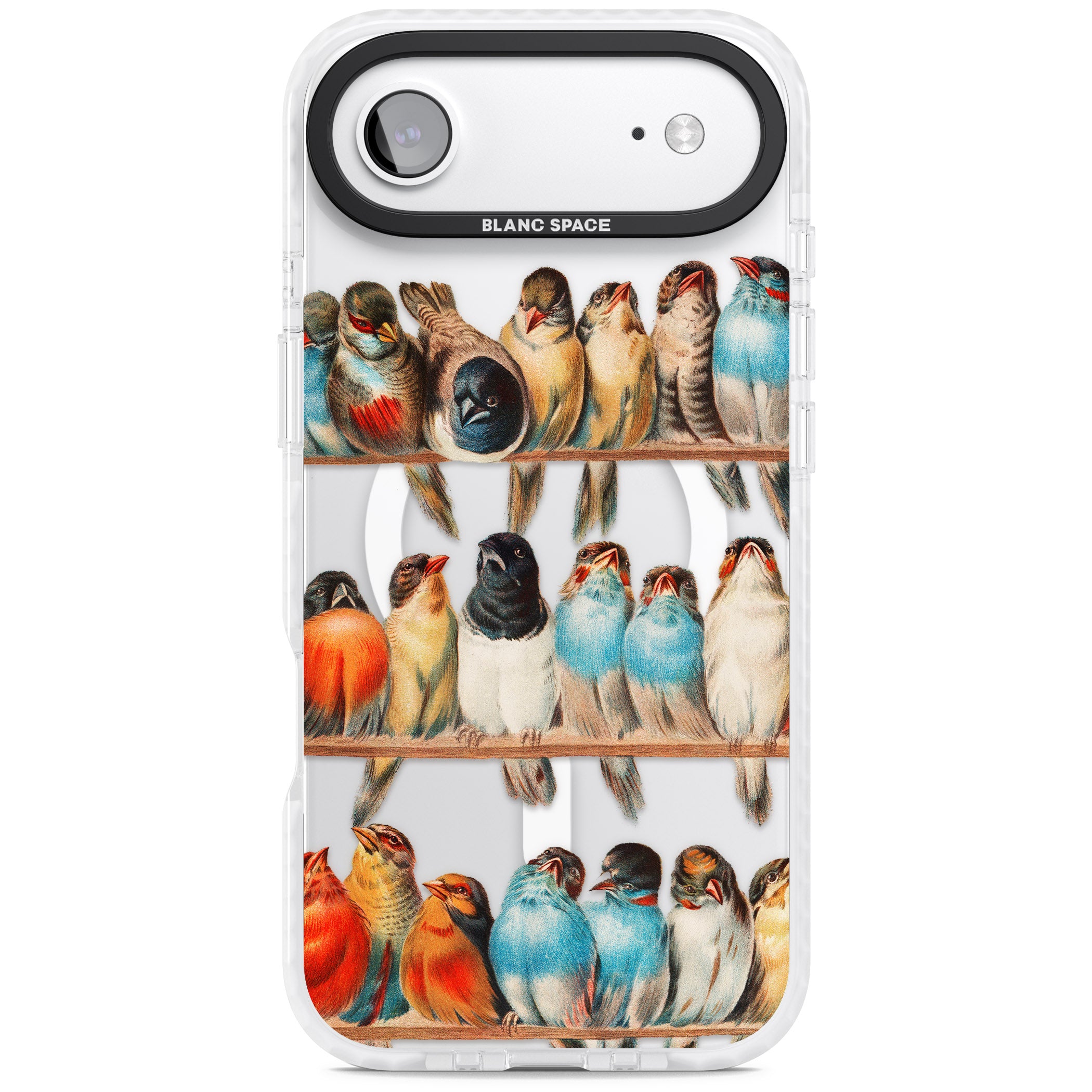 A Perch Of Birds iPhone 17 Air Impact Pro Clear Phone Case