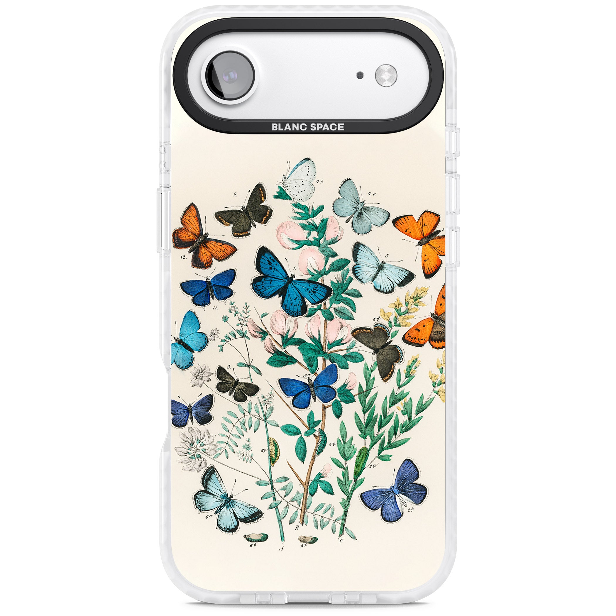 European Butterflies iPhone 17 Air Impact Pro Clear Phone Case