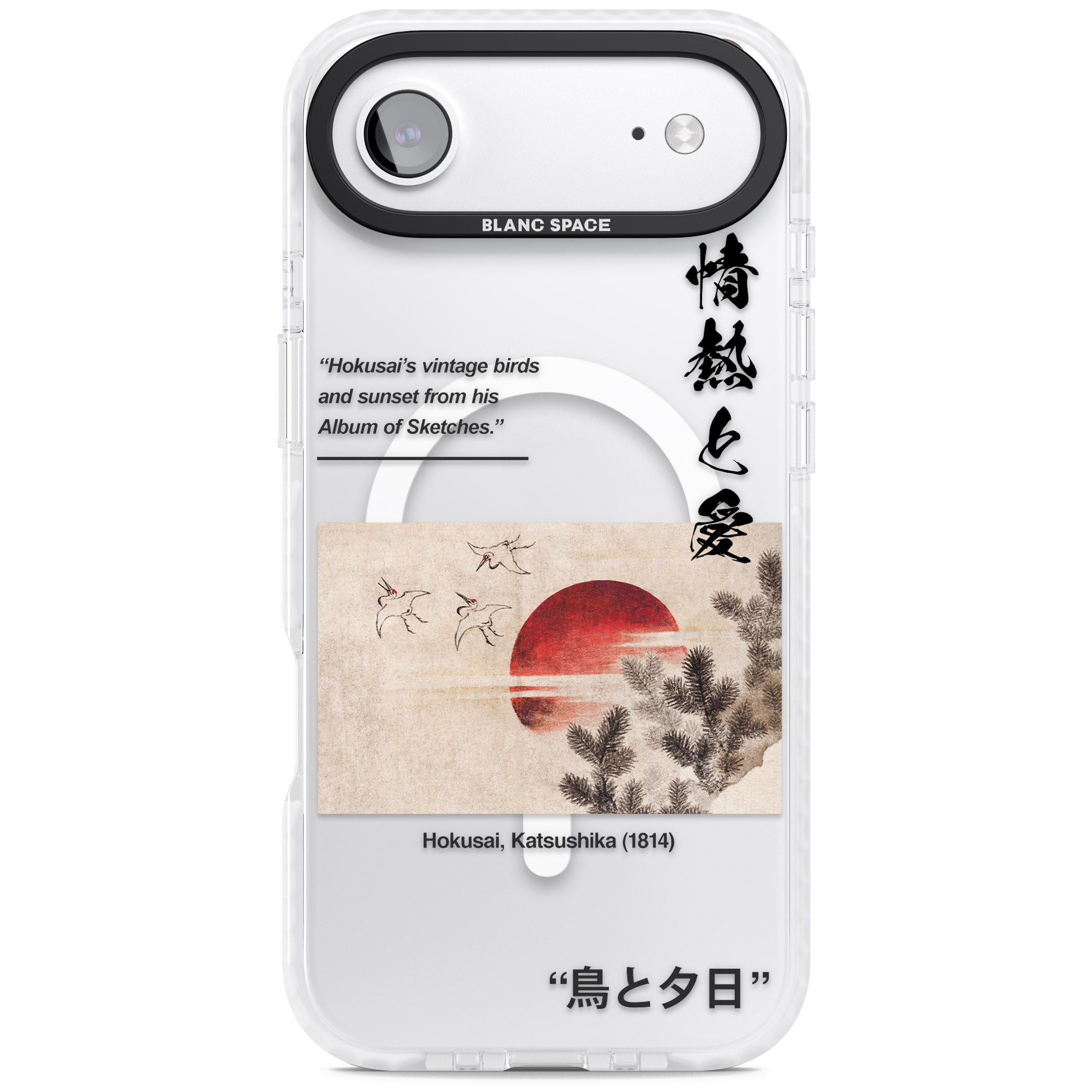 Birds And Sunset iPhone 17 Air Impact Pro Clear Phone Case