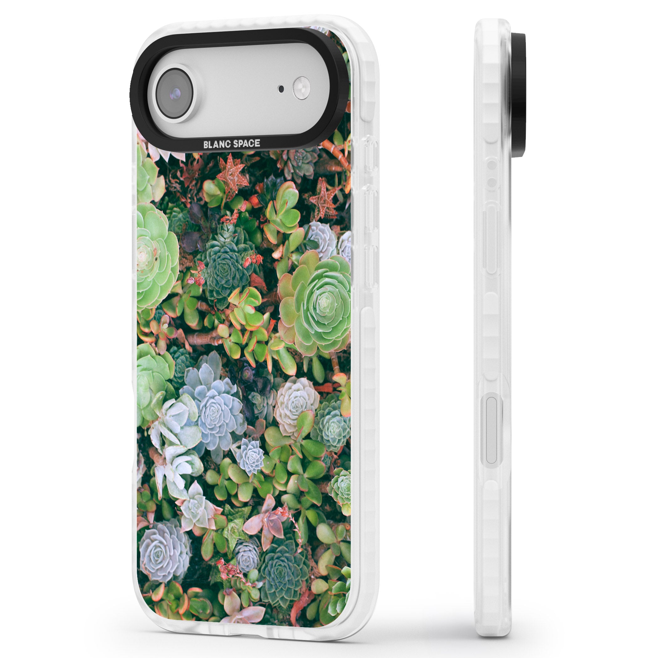Succulent Garden iPhone 17 Air Impact Clear Phone Case Side Profile