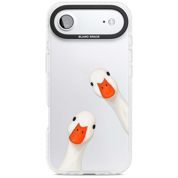 Nosy Ducks