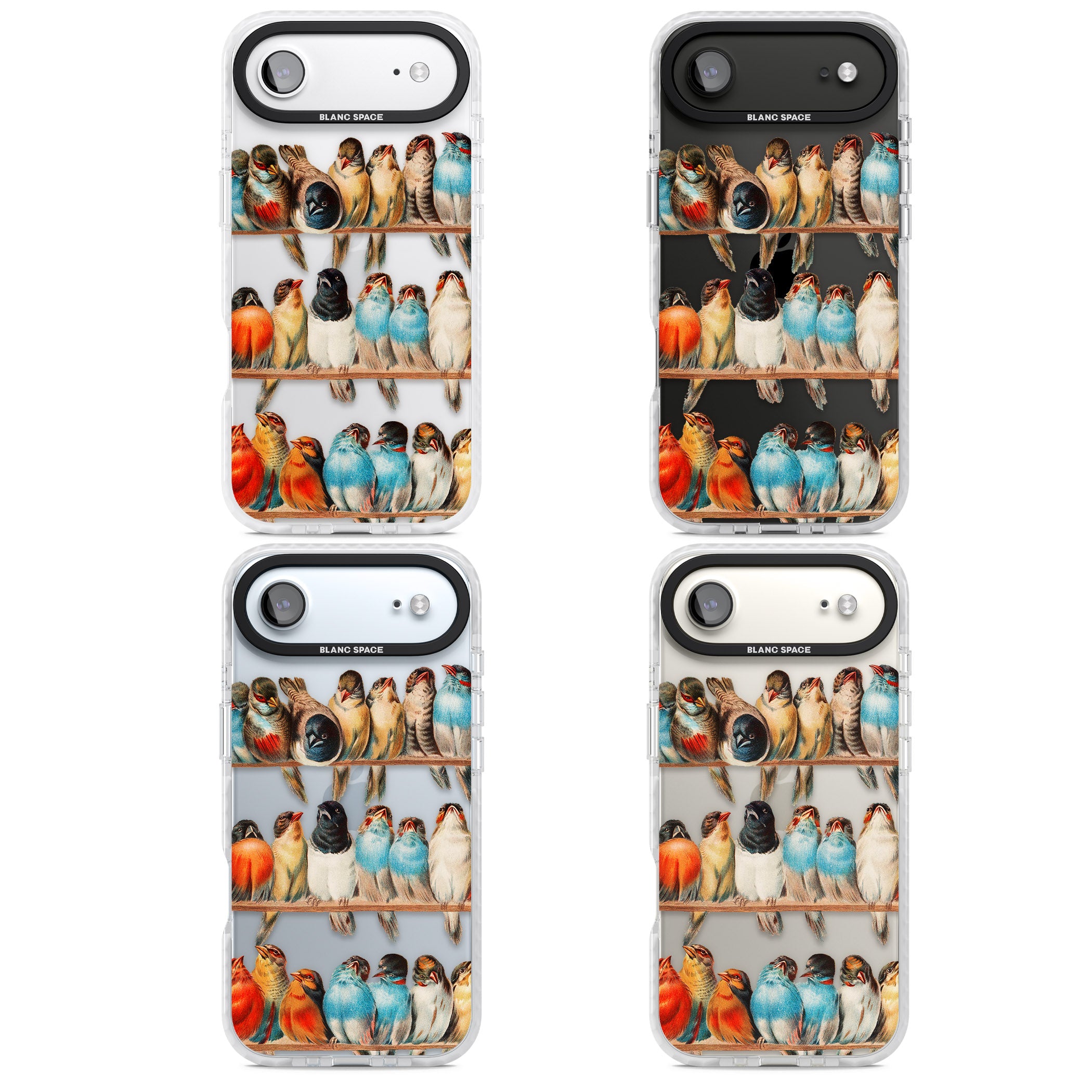 A Perch Of Birds iPhone 17 Air Impact Clear Phone Case APT Impact Protection