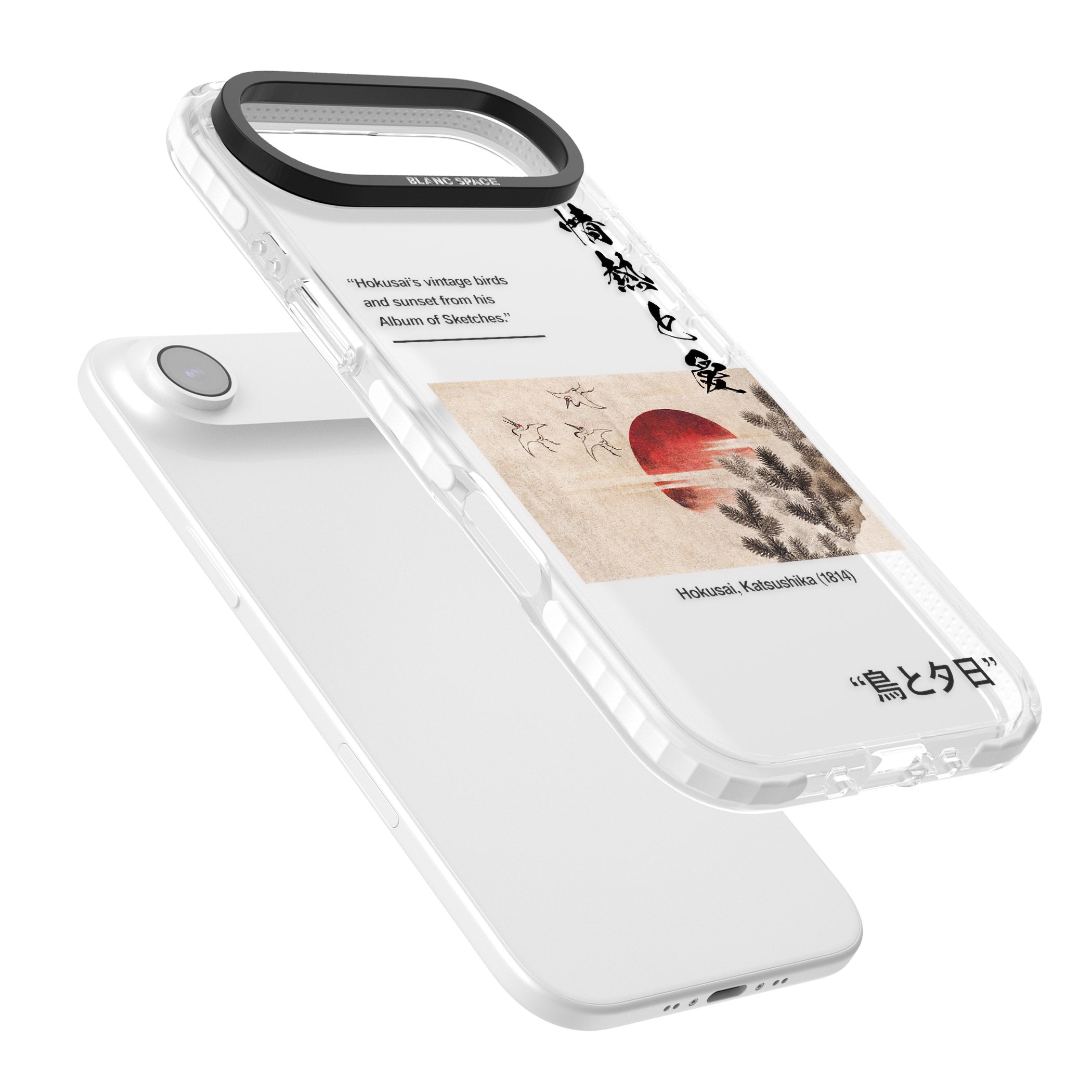 Birds And Sunset iPhone 17 Air Impact Clear Phone Case Colours