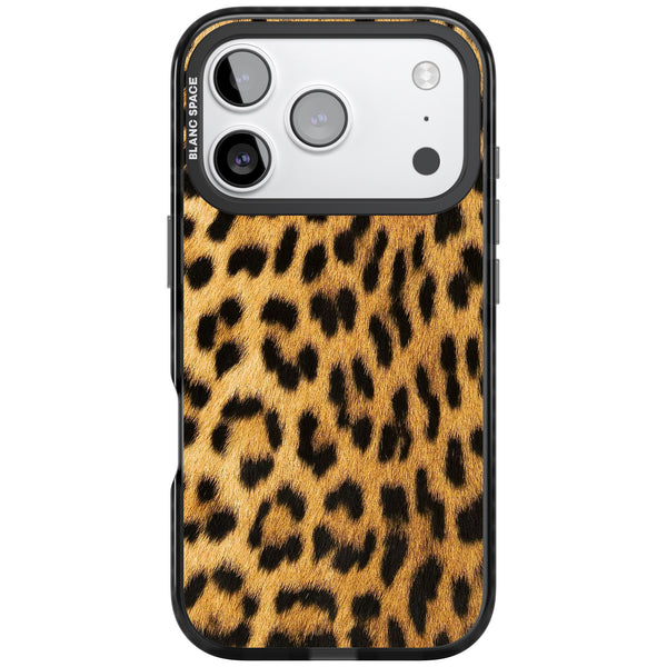 Savannah Leopard