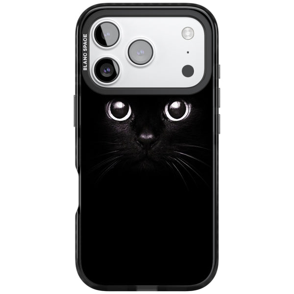 Black Cat