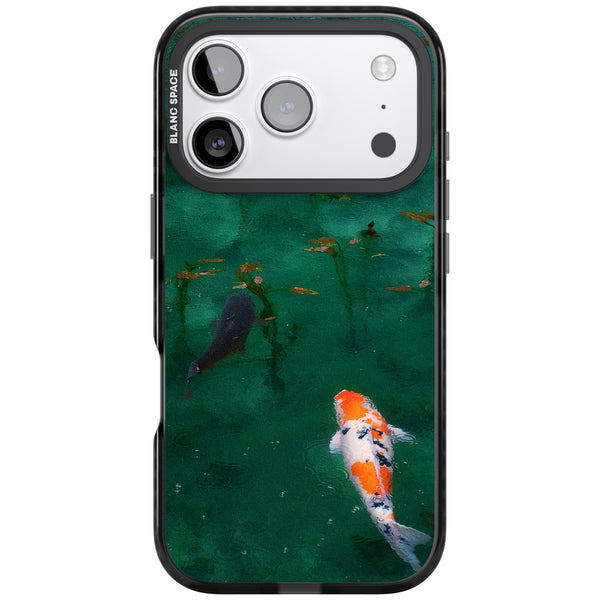 Koi Fish