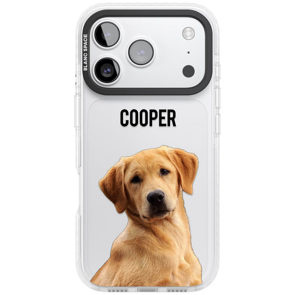 Personalised Pet Cutout & Name