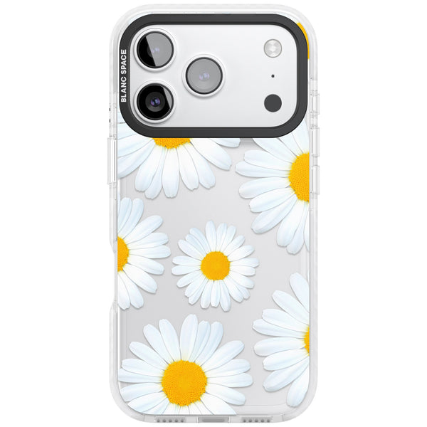 Summer Daisy