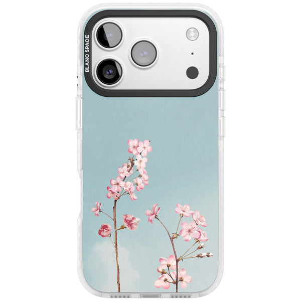 Blossom Flower Sky