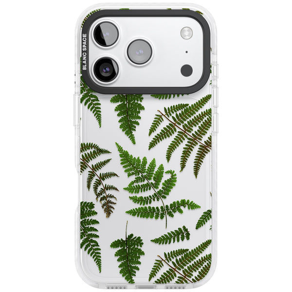 Leafy Ferns