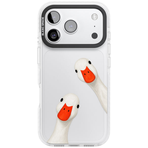 Nosy Ducks