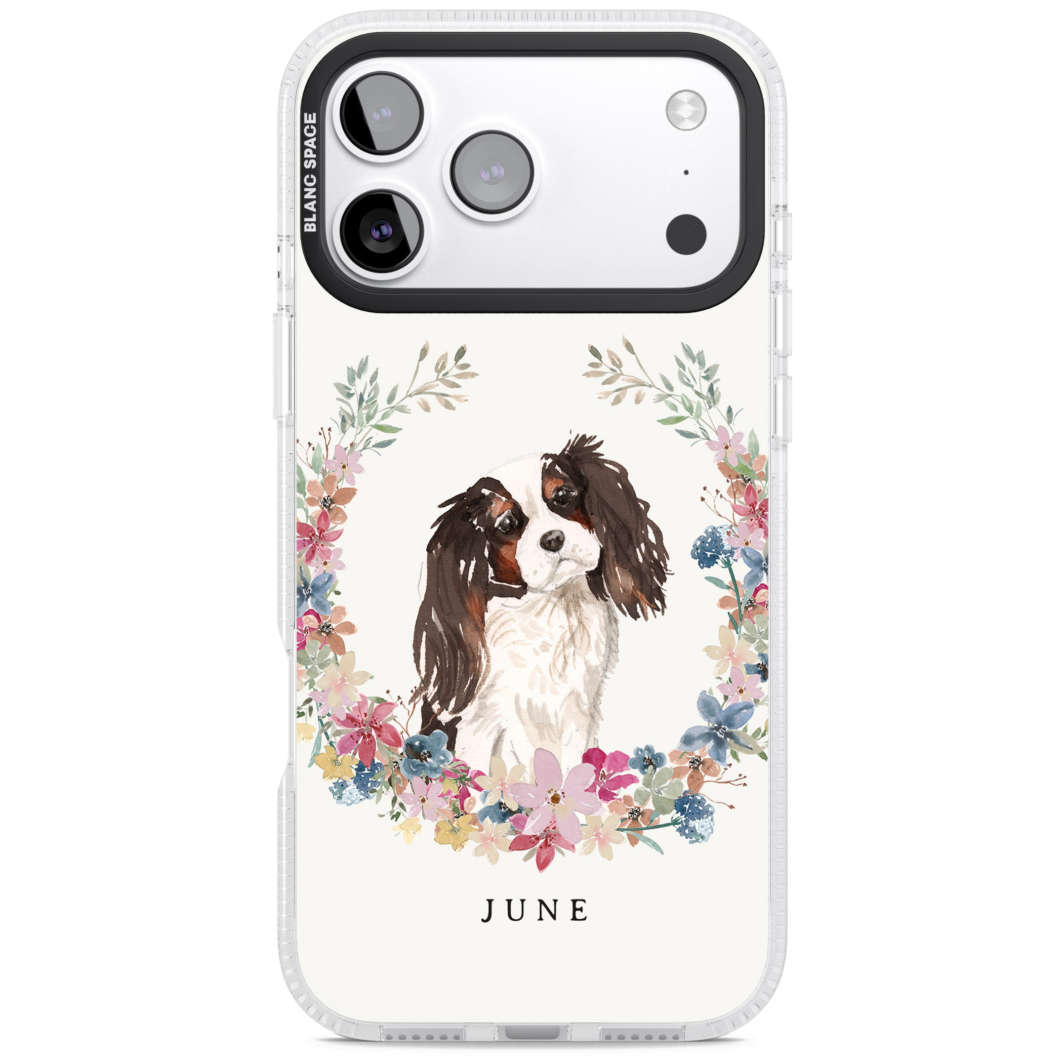 Personalised King Charles Floral Portrait iPhone 17 Pro Impact Air Clear Phone Case