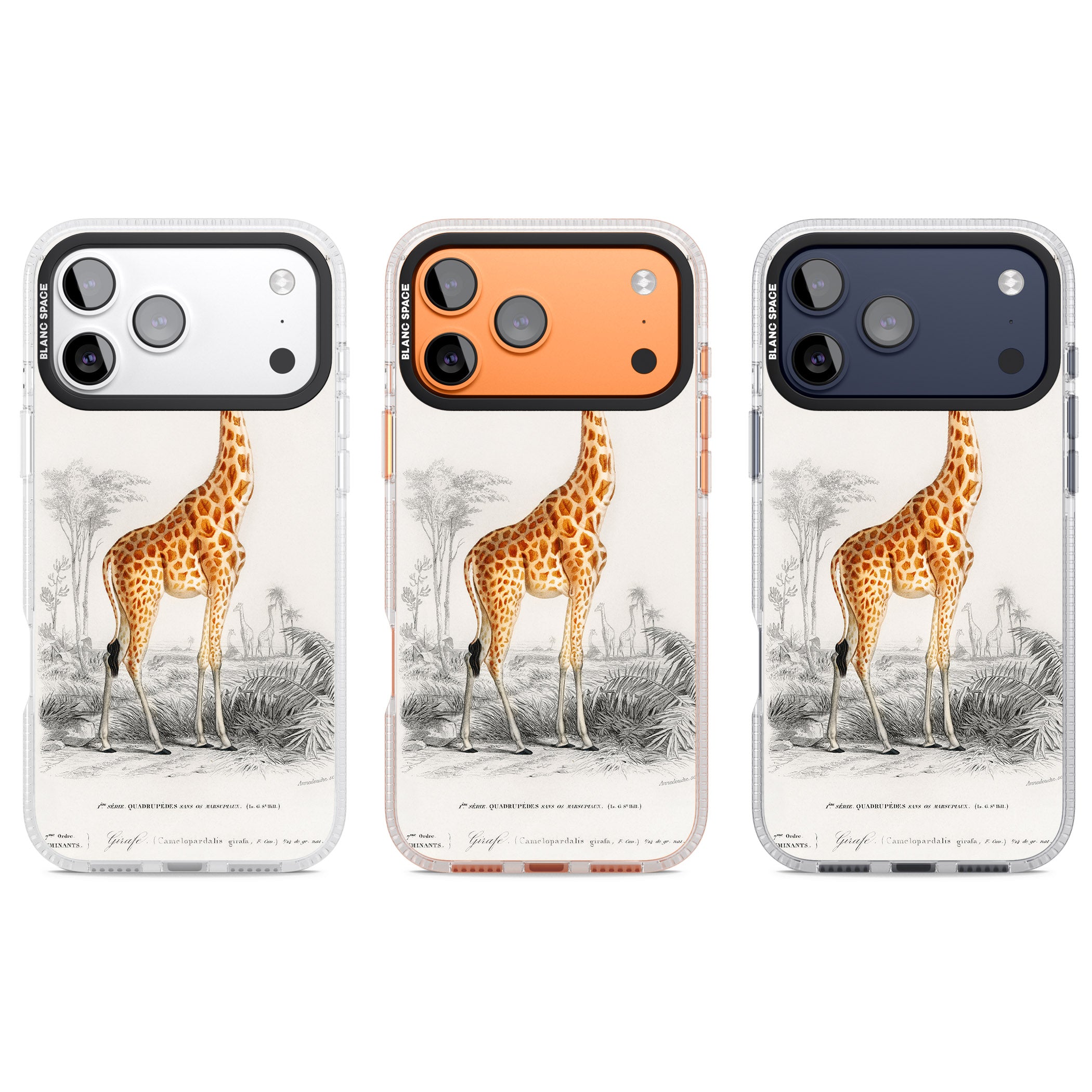 Vintage Giraffe Art iPhone 17 Pro Impact Air Clear Phone Case APT Impact Protection