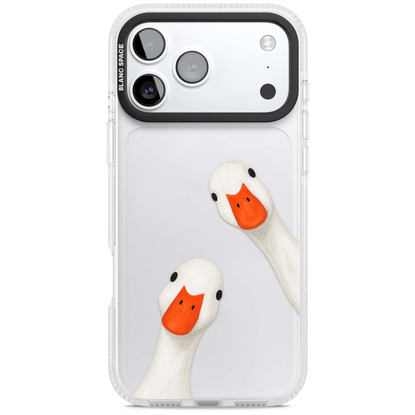 Nosy Ducks