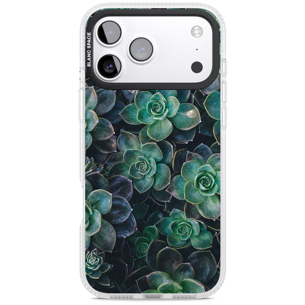 Succulent Bloom Botanical