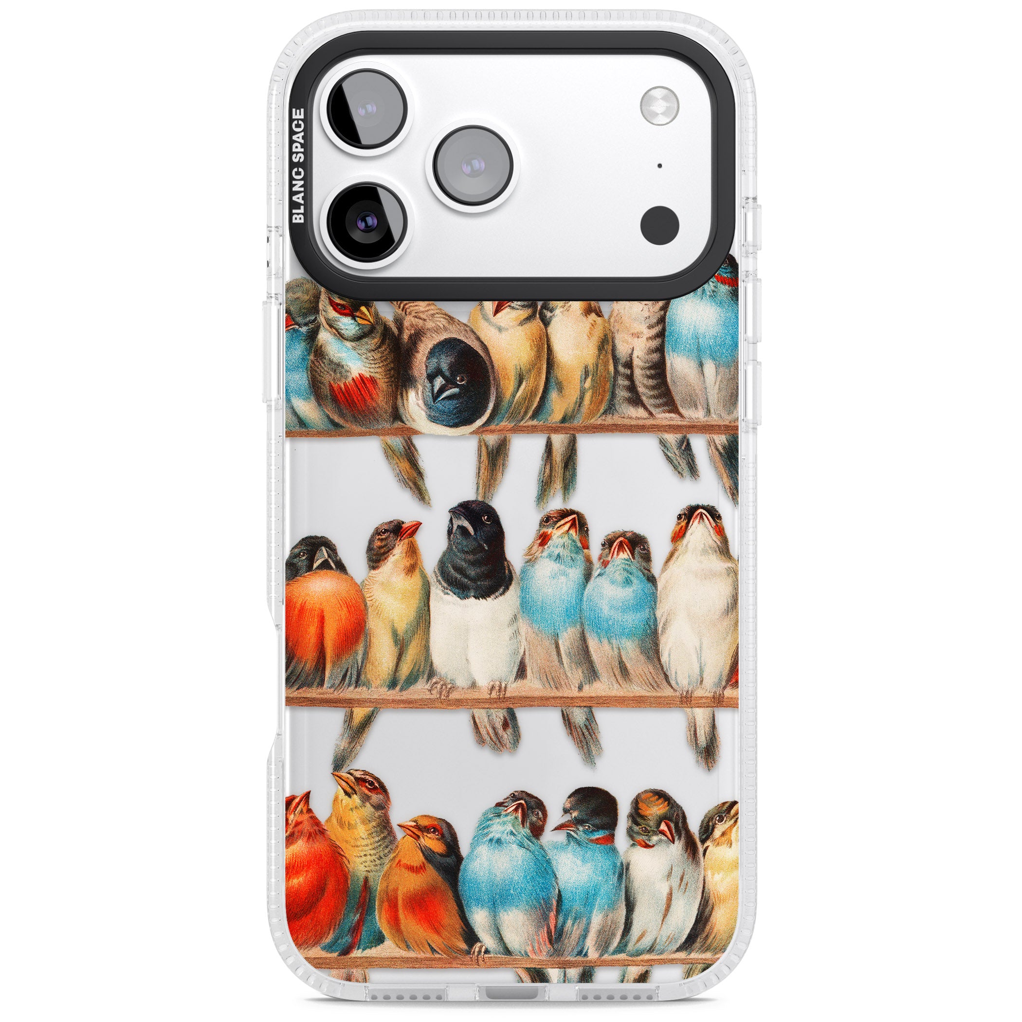 A Perch Of Birds iPhone 17 Pro Impact Air Clear Phone Case