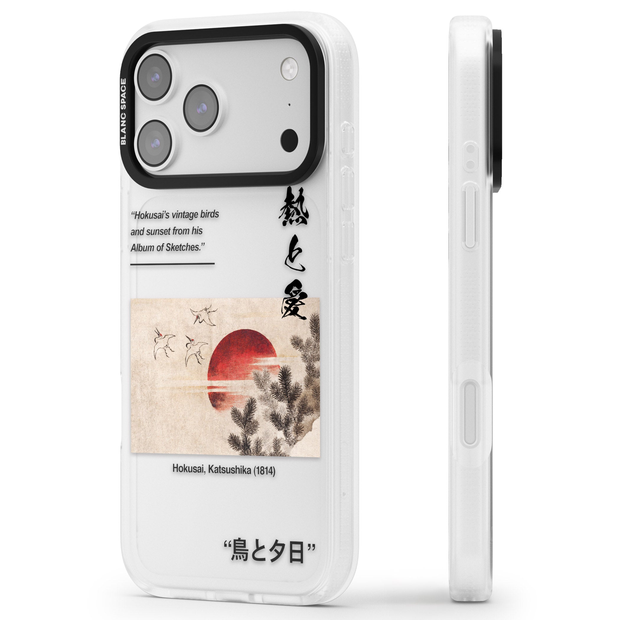 Birds And Sunset iPhone 17 Pro Impact Air Clear Phone Case Side Profile