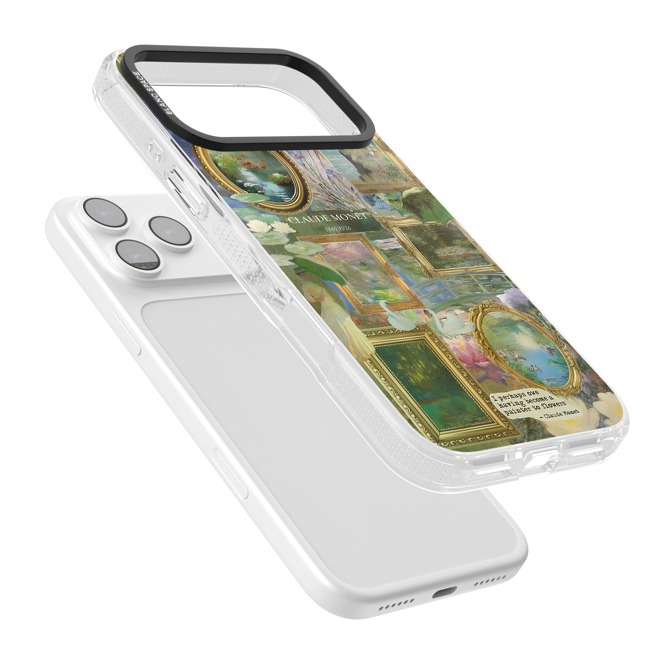 Vintage Floral Frames iPhone 17 Pro Impact Air Clear Phone Case Colours