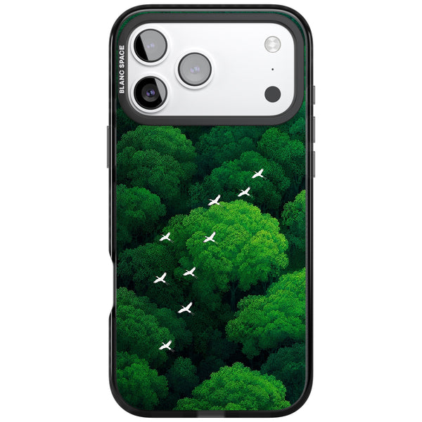 Grove Migration
