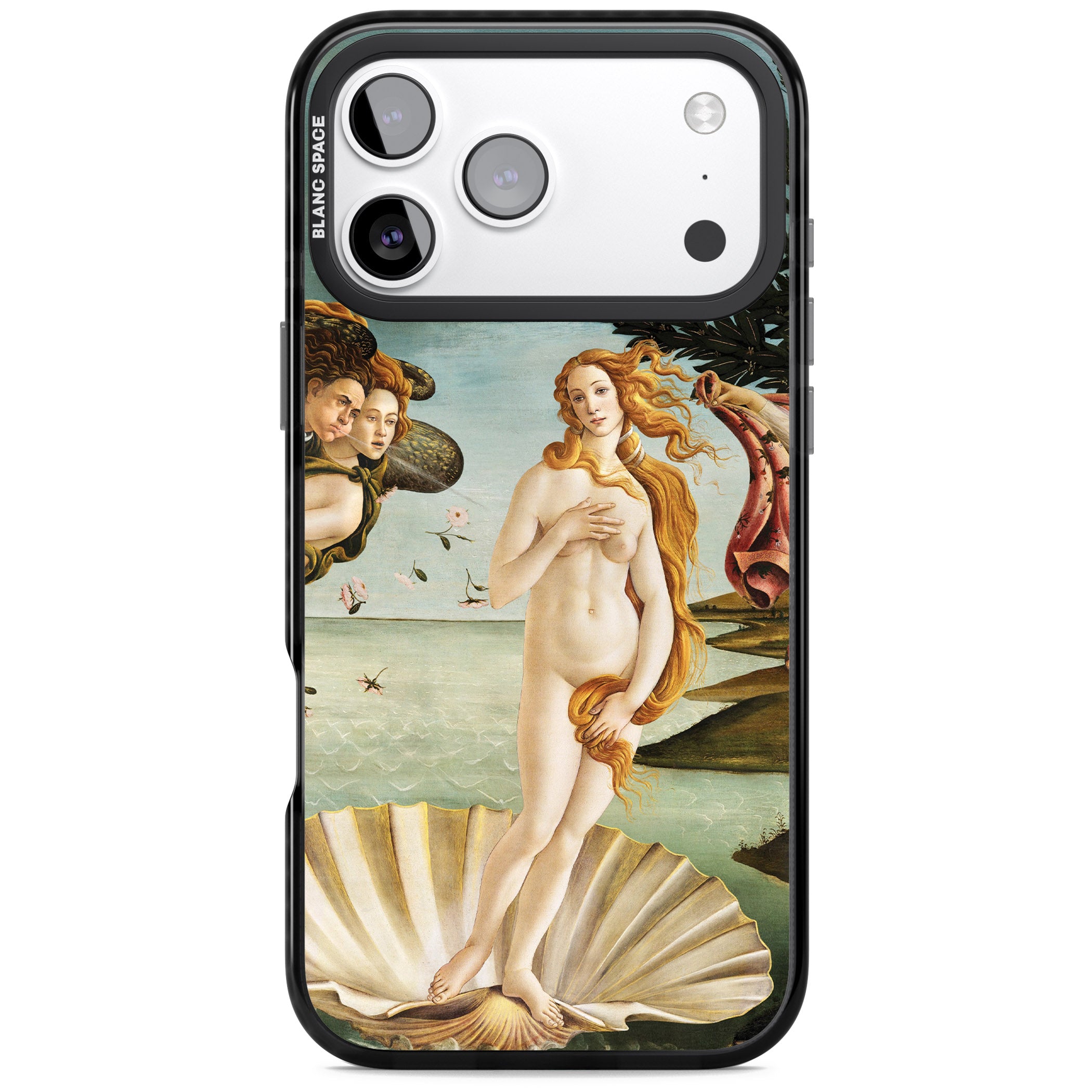 The Birth of Venus - Sandro Botticelli iPhone 17 Pro Impact Black Phone Case