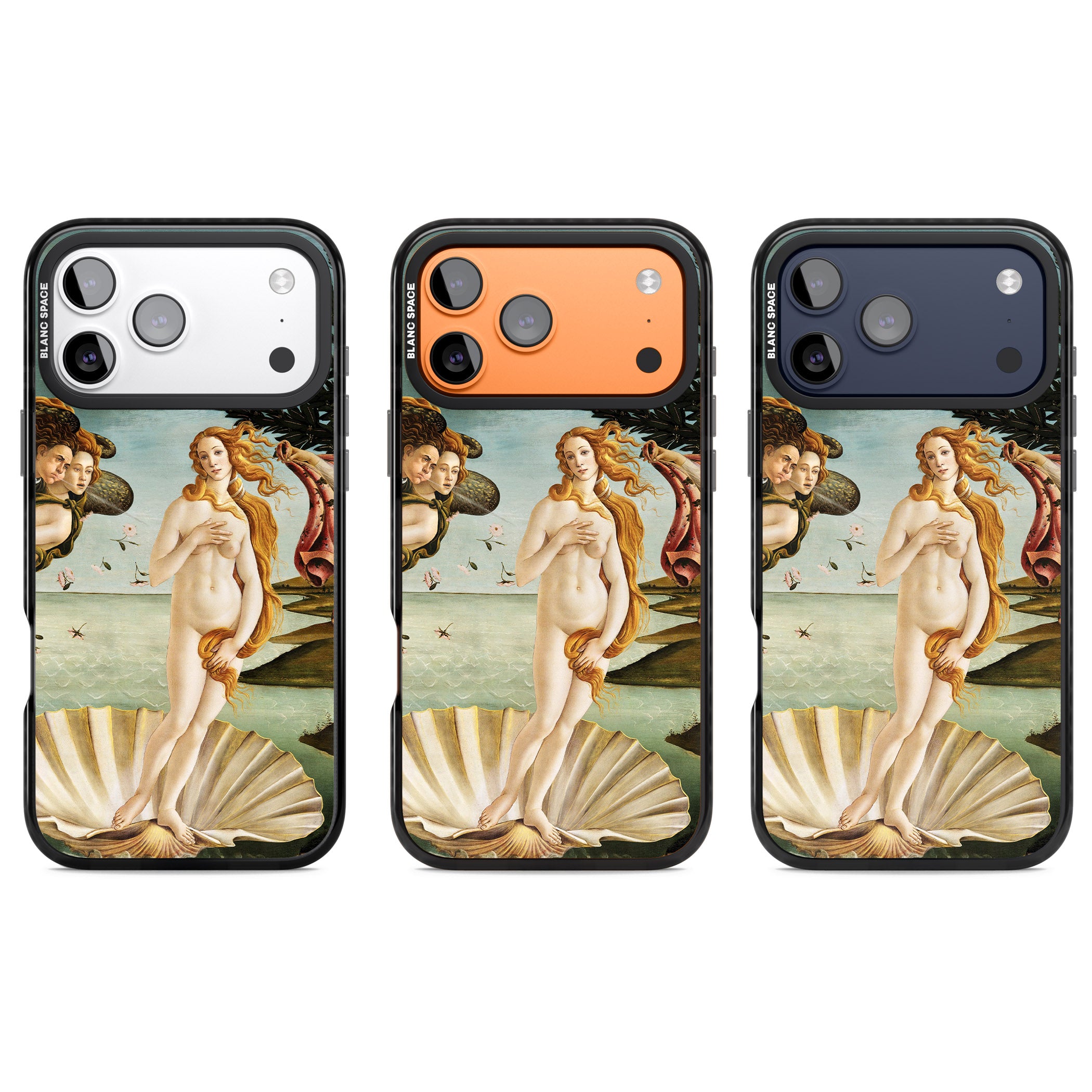The Birth of Venus - Sandro Botticelli iPhone 17 Pro Impact Black Phone Case APT Impact Protection