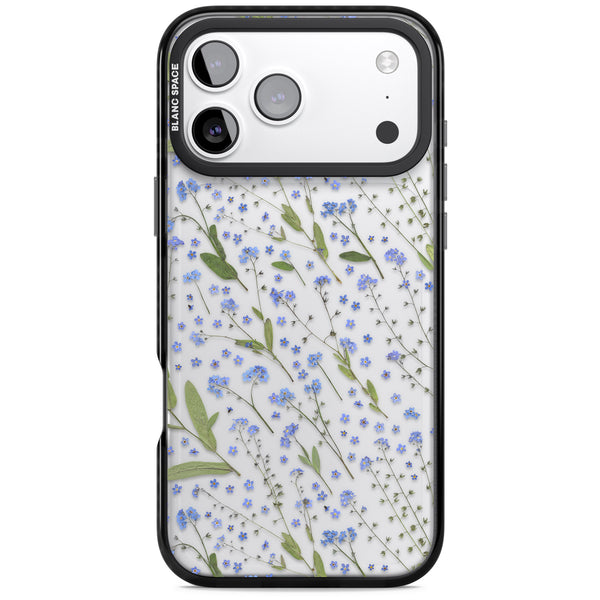 Blue Meadow