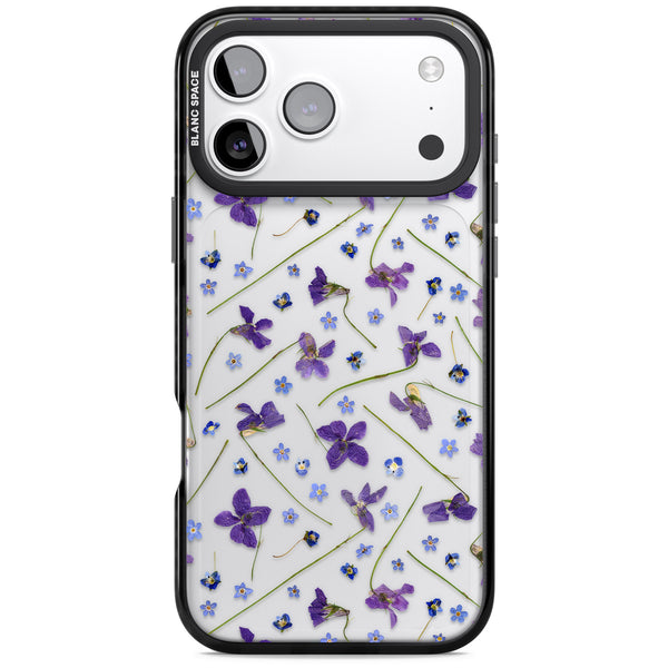 Pressed Violets