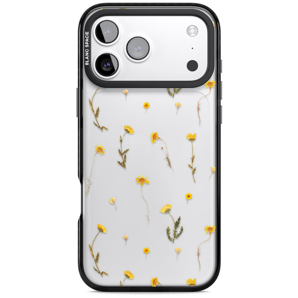 Yellow Wildflower