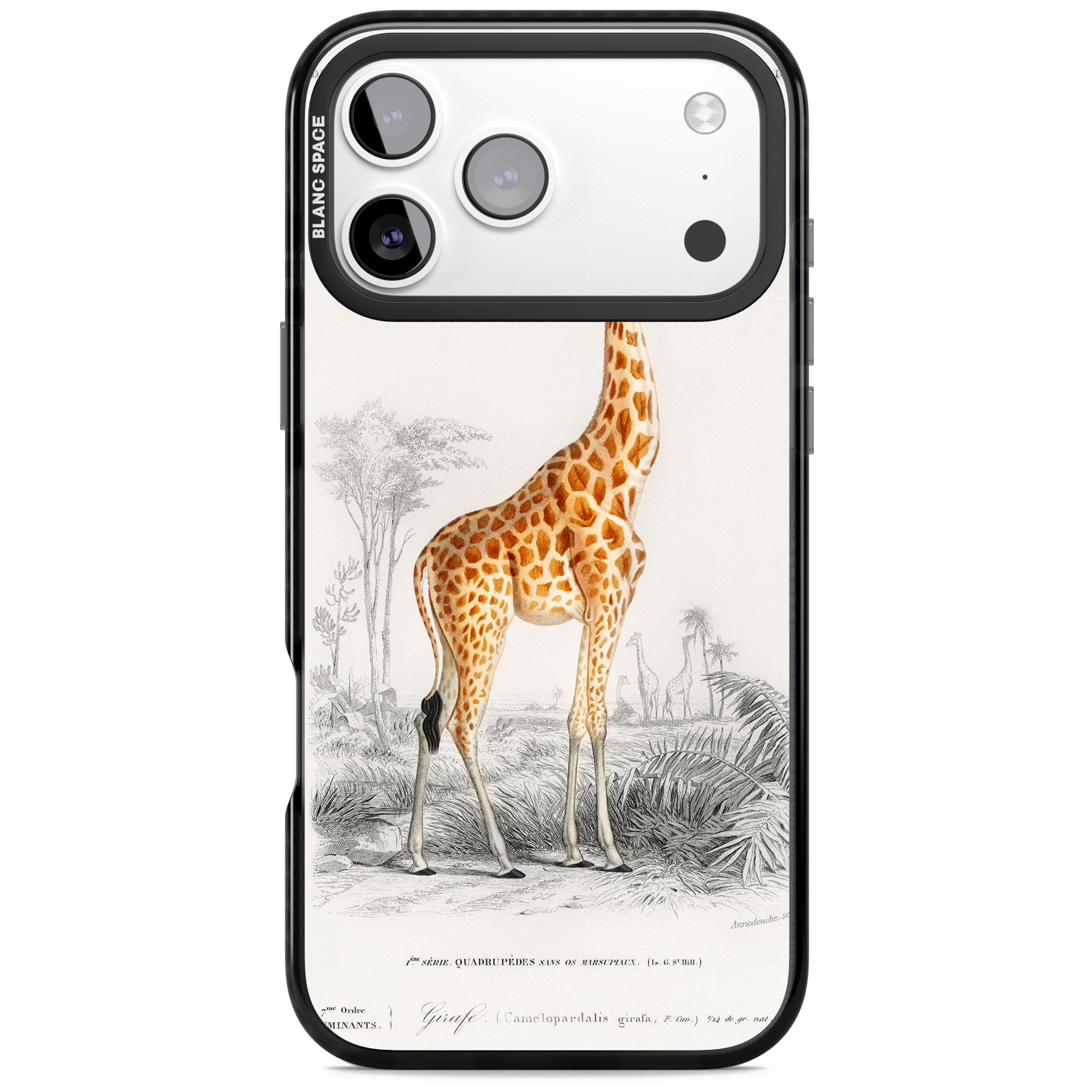 Vintage Giraffe Art iPhone 17 Pro Impact Black Phone Case