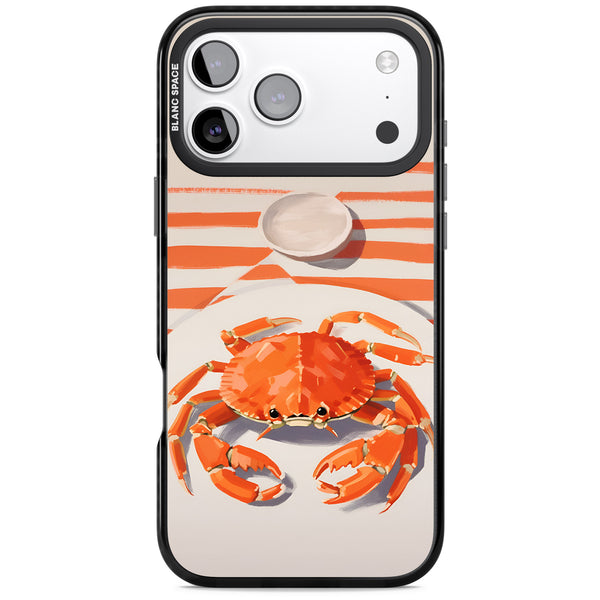 Beach Crab
