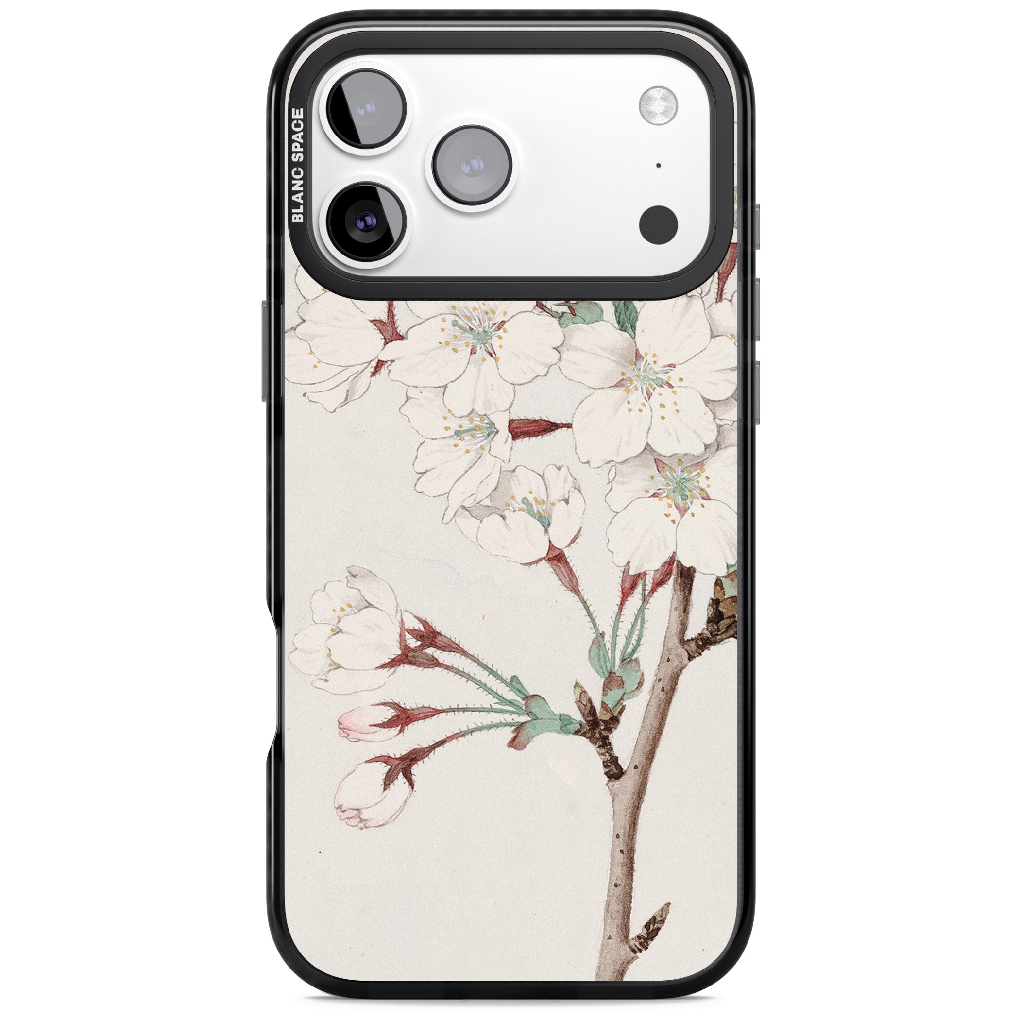 Vintage Japanese Illustrations Cherry Blossoms iPhone 17 Pro Impact Black Phone Case