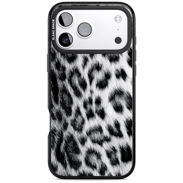 Snow Leopard