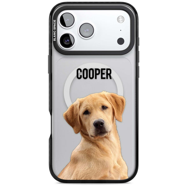 Personalised Pet Cutout & Name