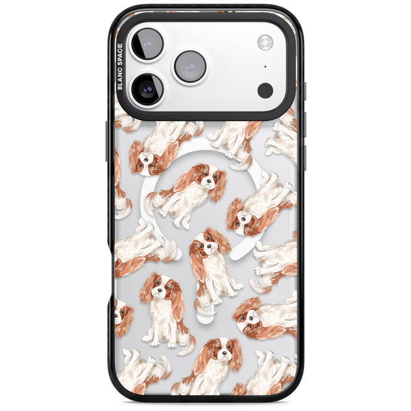 Cavalier King Charles Spaniel