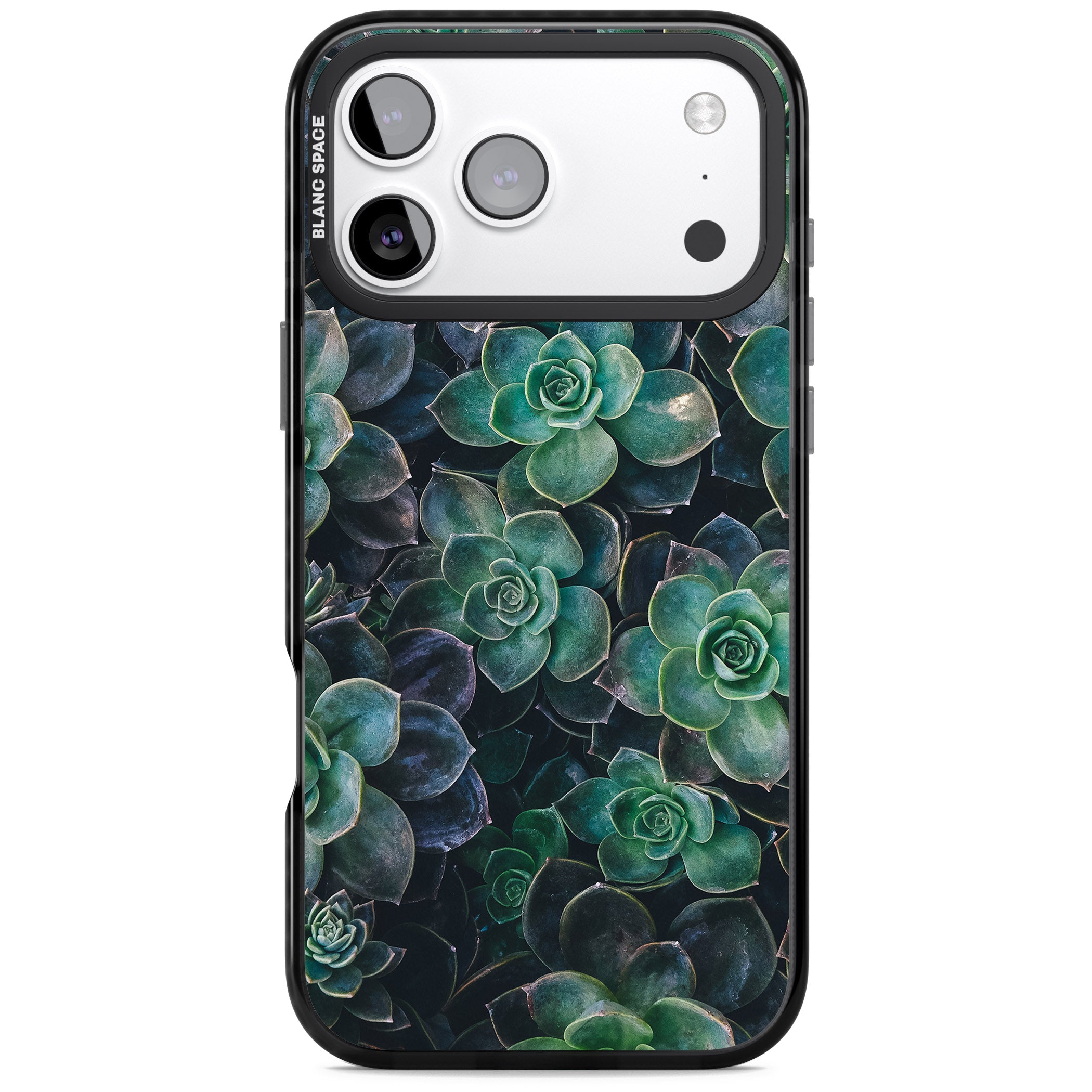 Succulent Bloom Botanical iPhone 17 Pro Impact Pro Black Phone Case