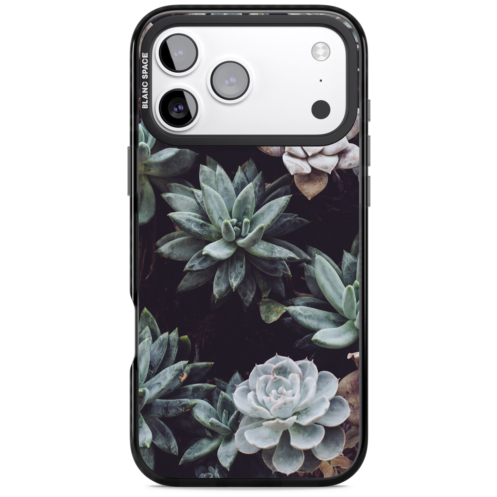 Succulent Bloom Mixed iPhone 17 Pro Impact Pro Black Phone Case