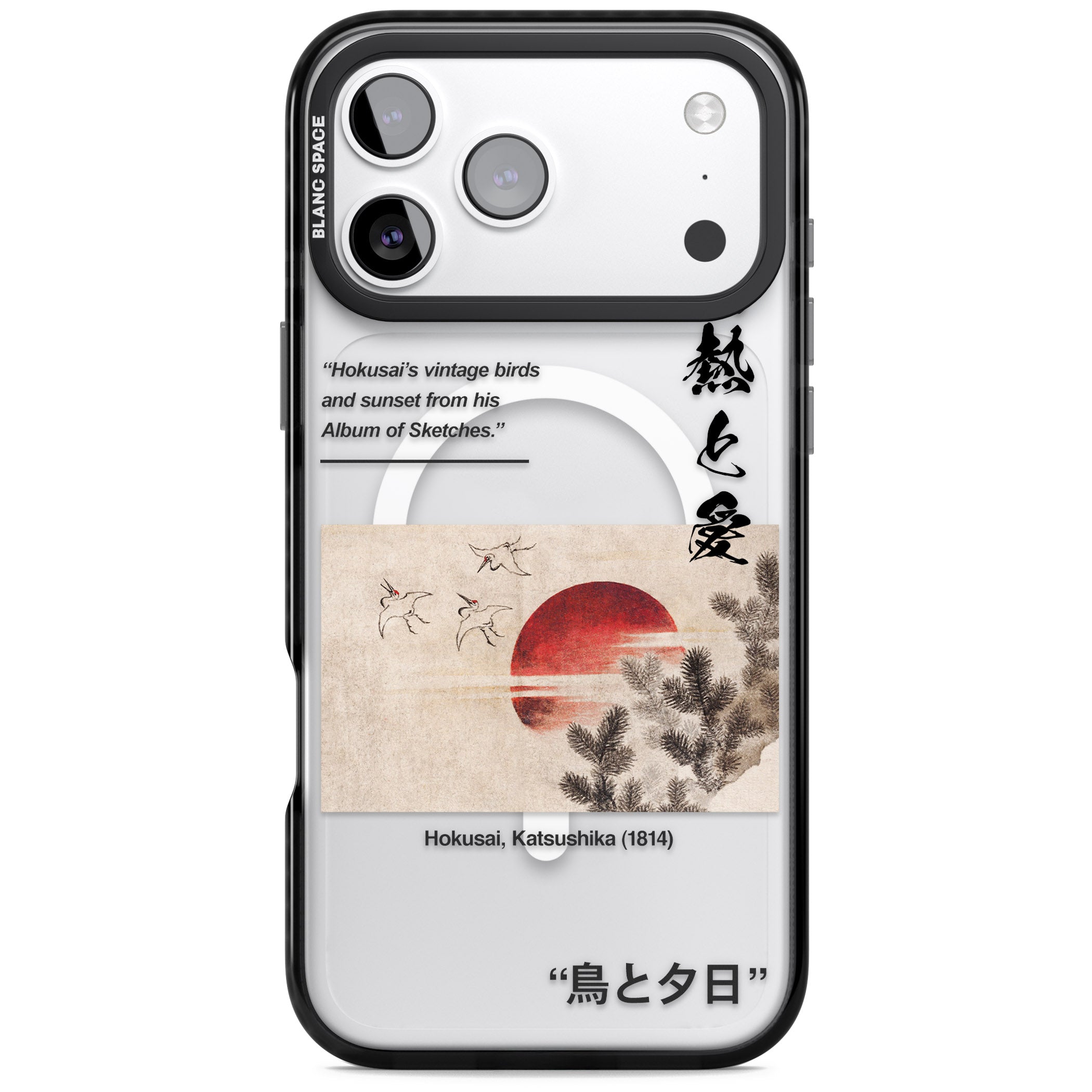 Birds And Sunset iPhone 17 Pro Impact Pro Black Phone Case