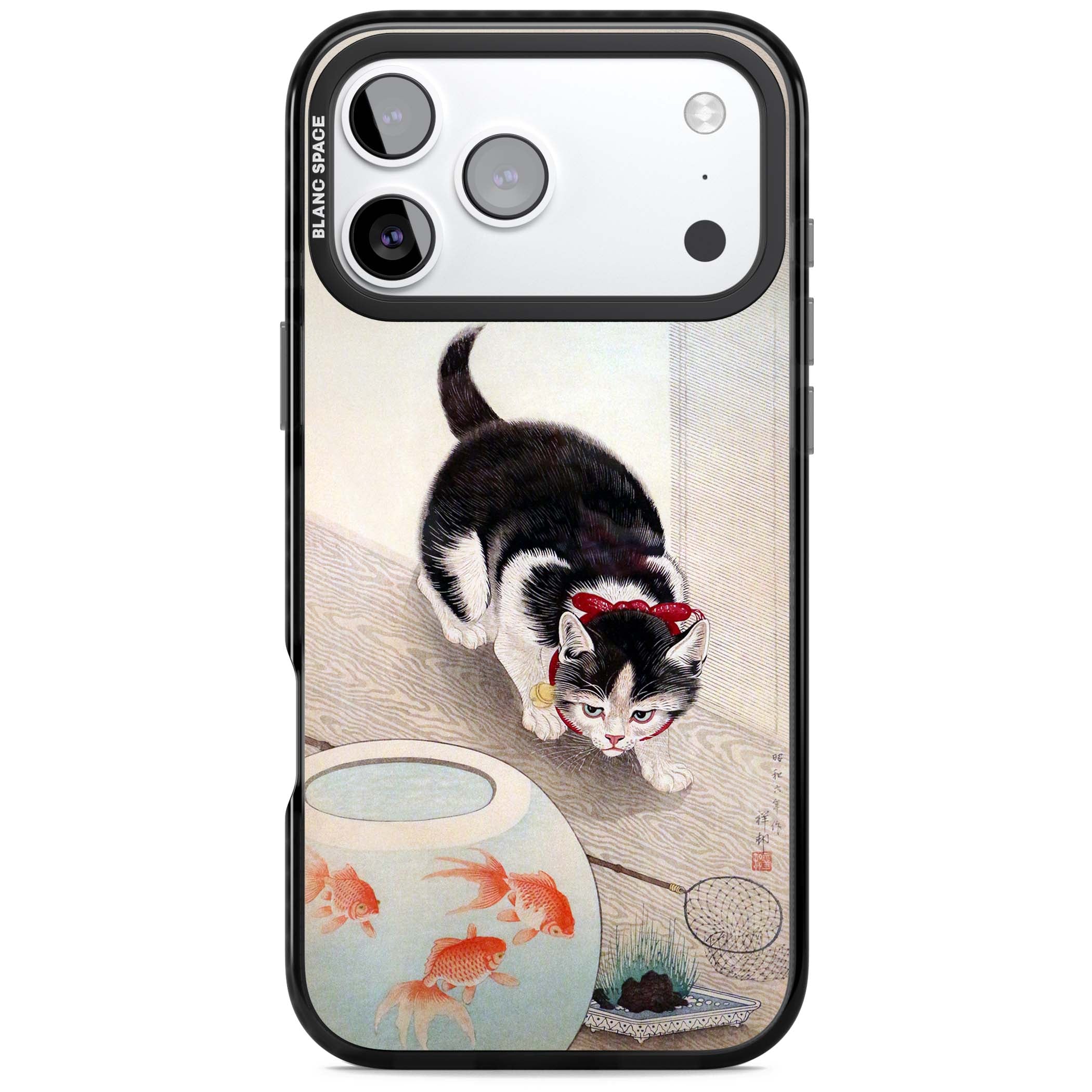 Cat & Goldfish Bowl