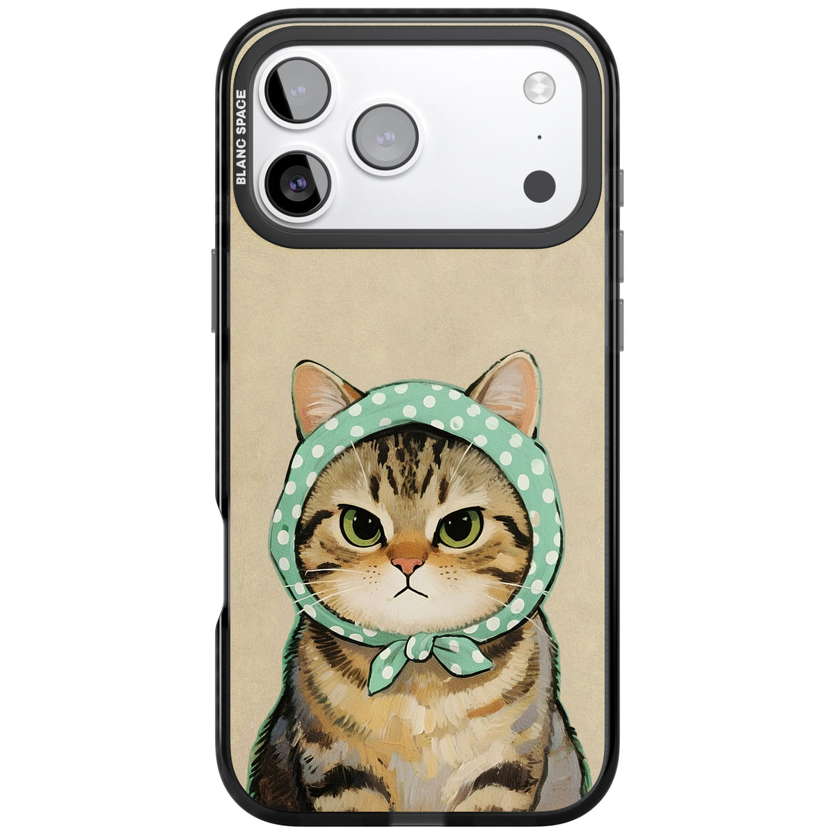 Cat Losing Patience iPhone 17 Pro Max Impact Black Phone Case front