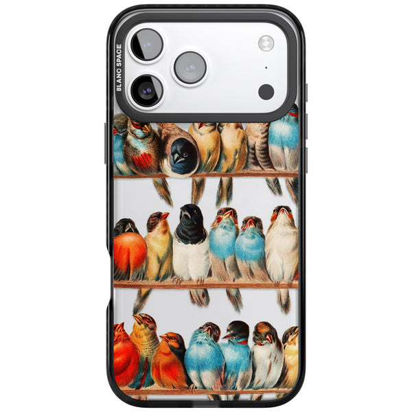 A Perch Of Birds