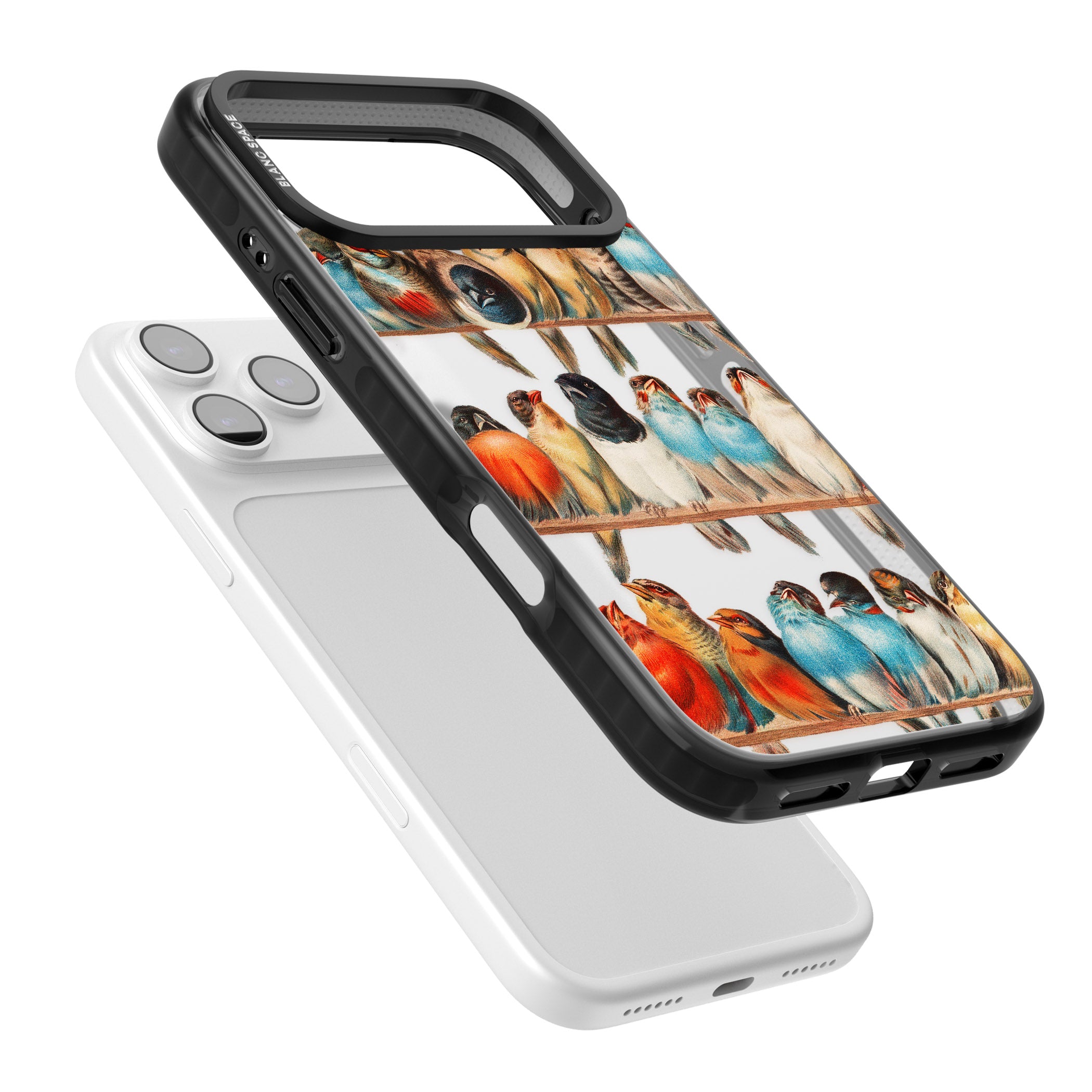 A Perch Of Birds iPhone 17 Pro Impact Black Phone Case Colours