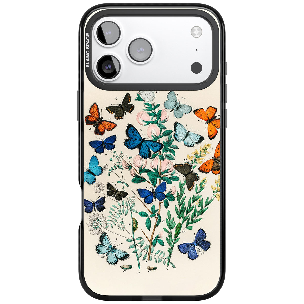 European Butterflies iPhone 17 Pro Max Impact Black Phone Case front