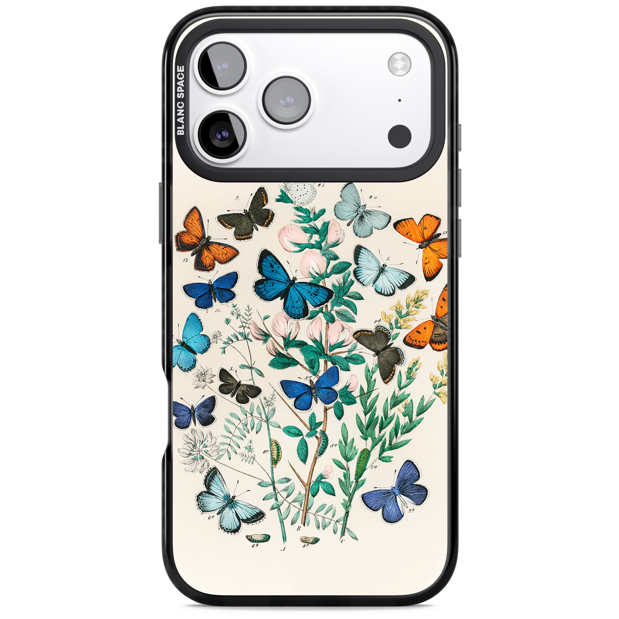European Butterflies iPhone 17 Pro Impact Black Phone Case