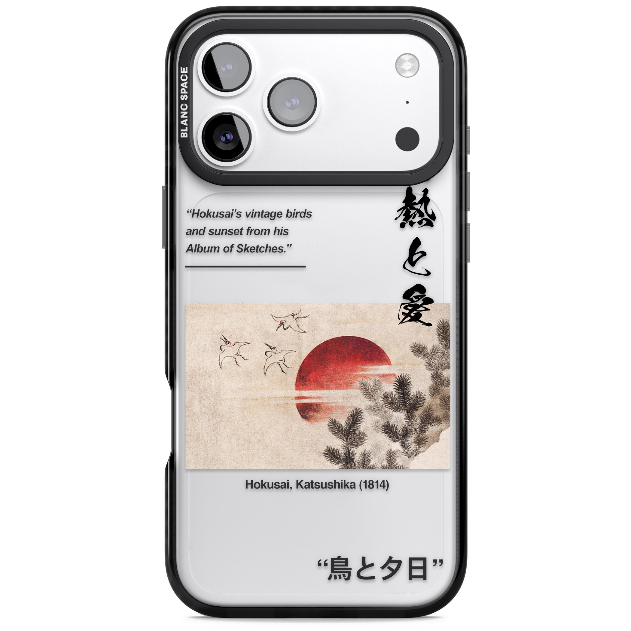 Birds And Sunset iPhone 17 Pro Impact Black Phone Case