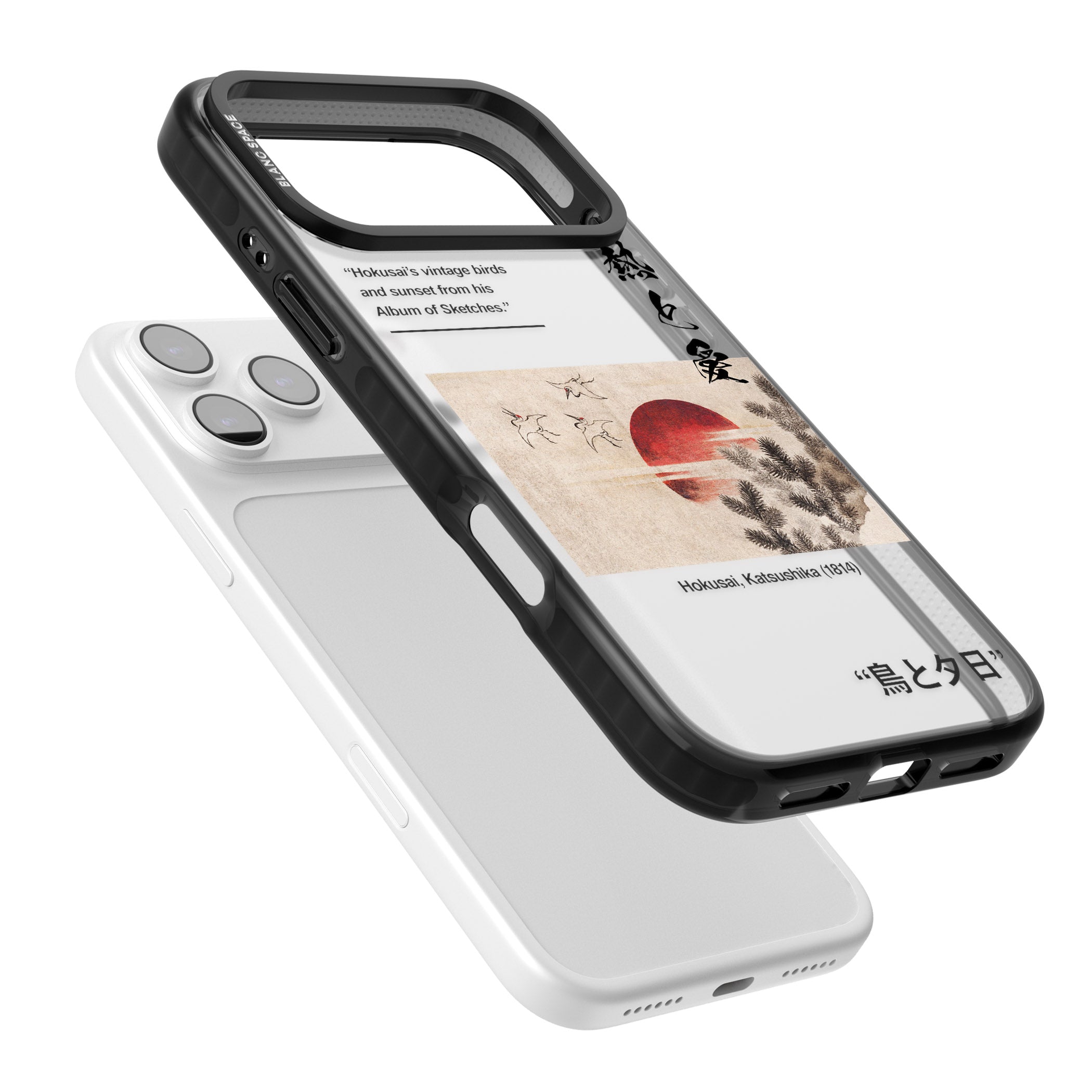 Birds And Sunset iPhone 17 Pro Impact Black Phone Case Colours