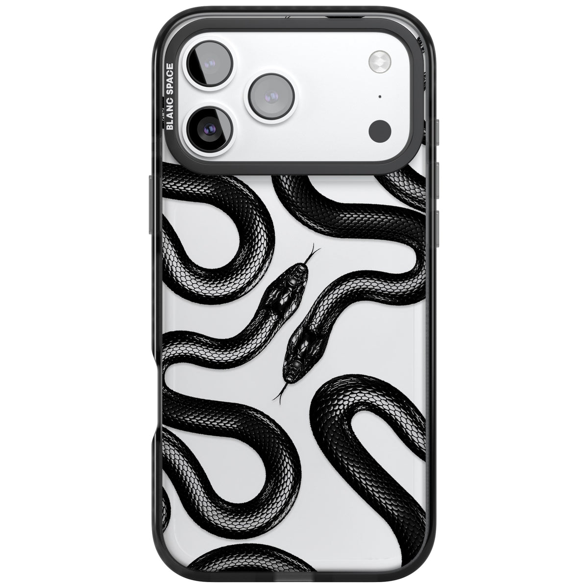 Black Kingsnake iPhone 17 Pro Max Impact Black Phone Case front
