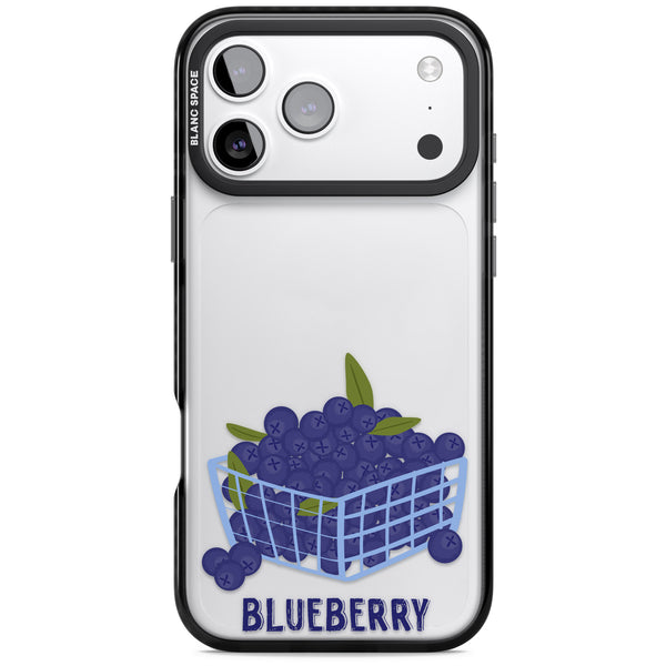Blueberry Basket