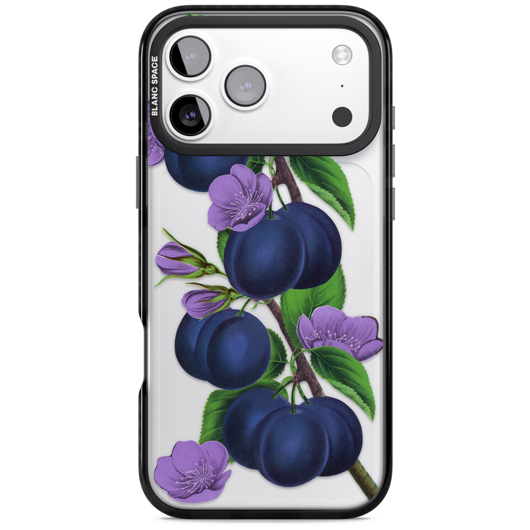 Vintage Painted Plums iPhone 17 Pro Impact Black Phone Case