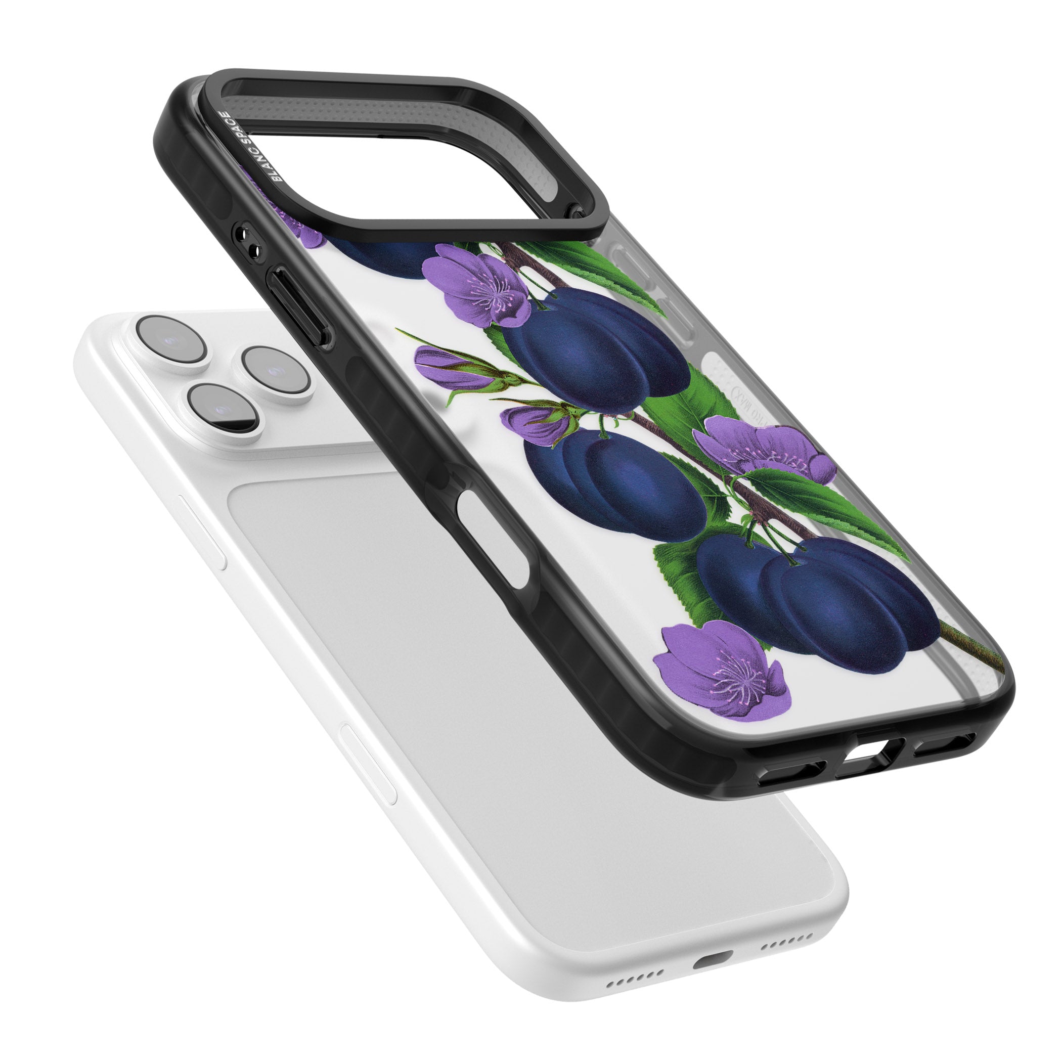 Vintage Painted Plums iPhone 17 Pro Impact Black Phone Case Colours